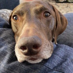 Meet your Posher, Ash